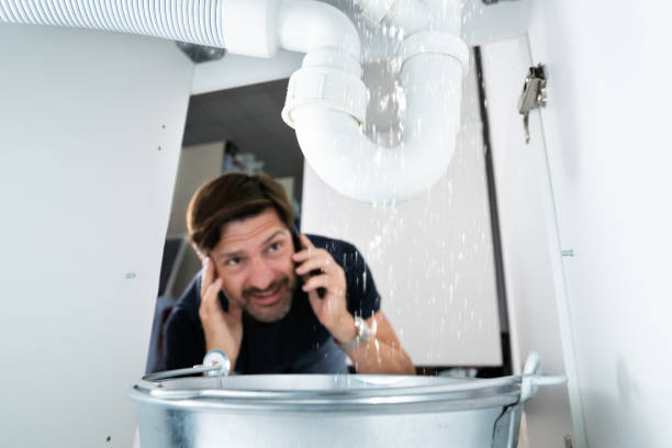 Best 24-Hour Plumber Near Me  in Argentine, MI