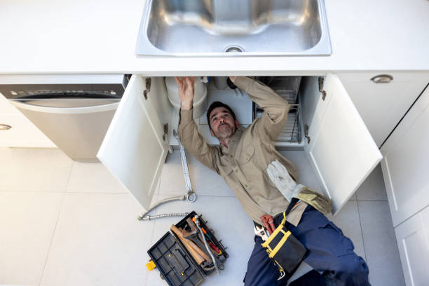 Best Commercial Plumbing Services  in Argentine, MI