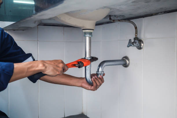 Best Local Plumber Services  in Argentine, MI