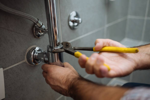 Best Shower Repair Services  in Argentine, MI