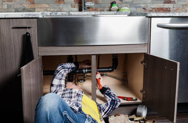 Best Plumbing Inspection Services  in Argentine, MI