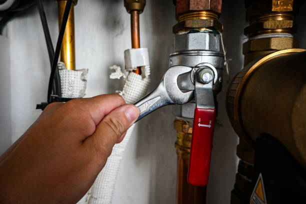 Best Plumbing Repair Near Me  in Argentine, MI